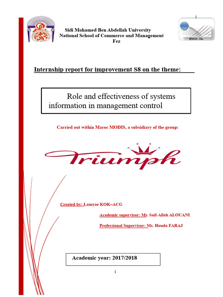Information Systems in Management Control | PDF | Microsoft Excel ...