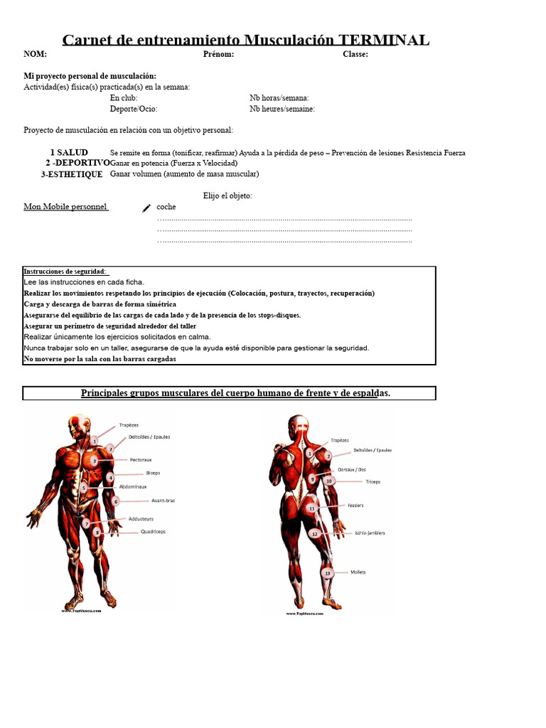 Revisiones CCF Terminal 2 | PDF
