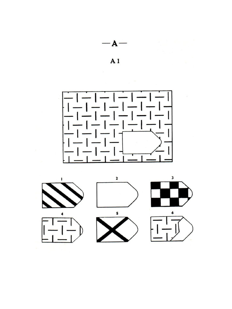 Raven's Standard Progressive Matrices | PDF