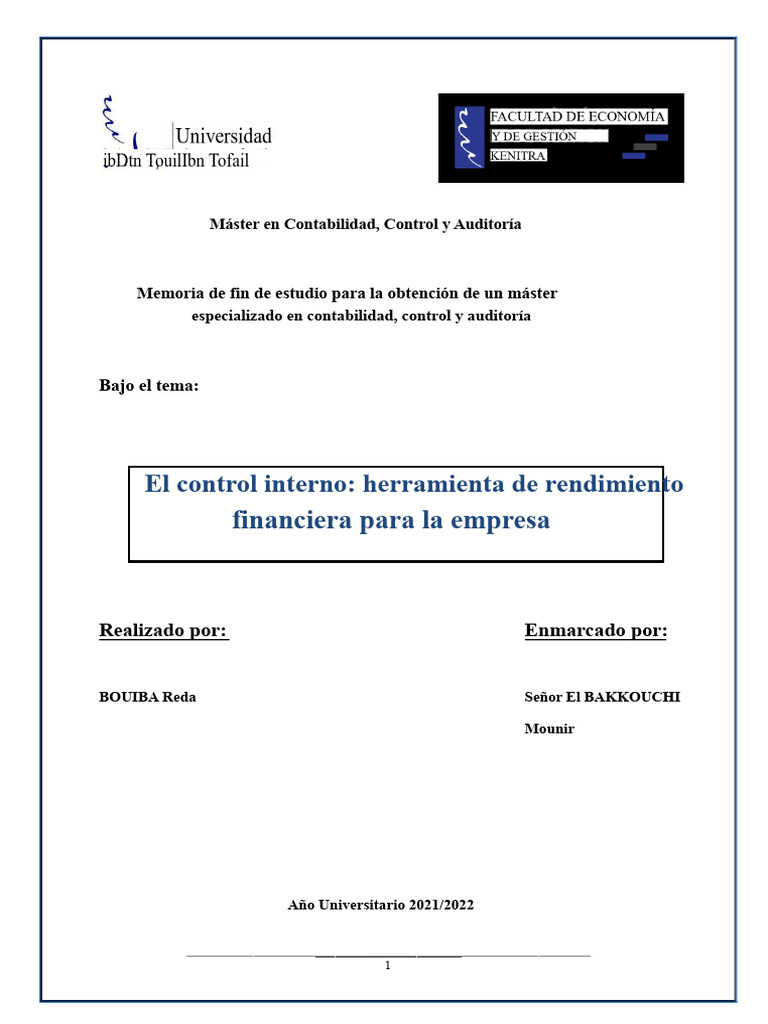 Memoria Sobre El Control Interno | PDF | Business | Contabilidad