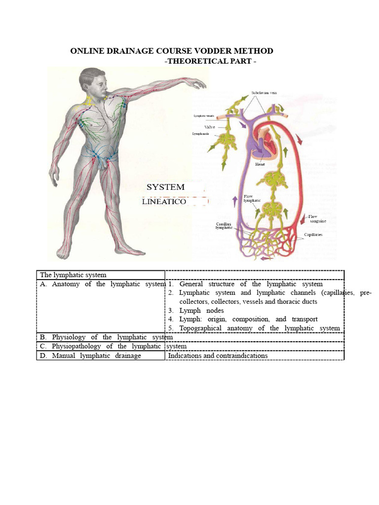 Vodder Method: Online Lymphatic Course | PDF | Lymphatic System | Lymph