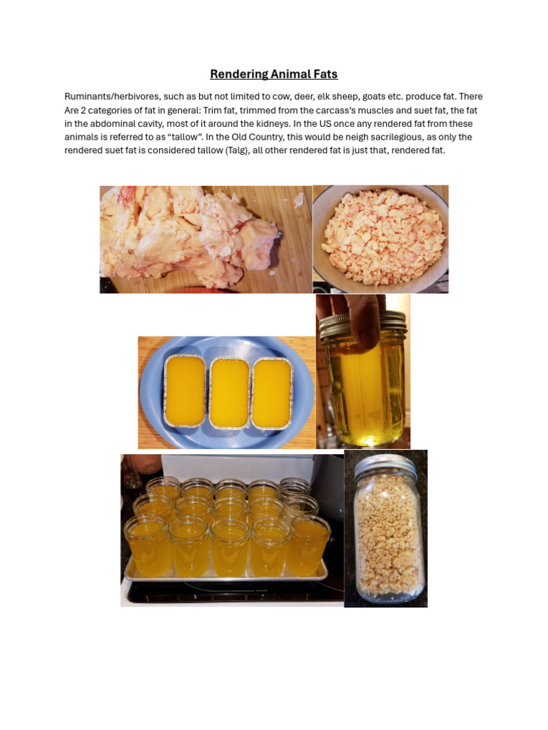 Dry Rendering Fat | PDF | Lard | Cooking