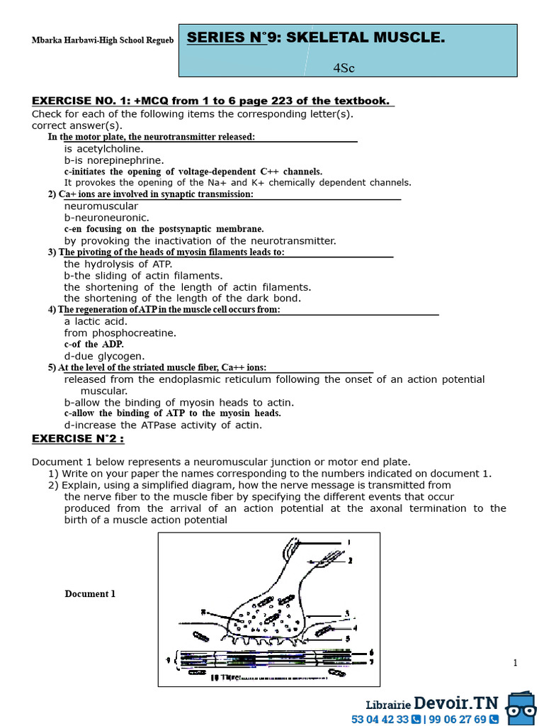 Exercise Series No. 9 - Skeletal Muscle - 2017-2018 (Mrs. Harbawi ...