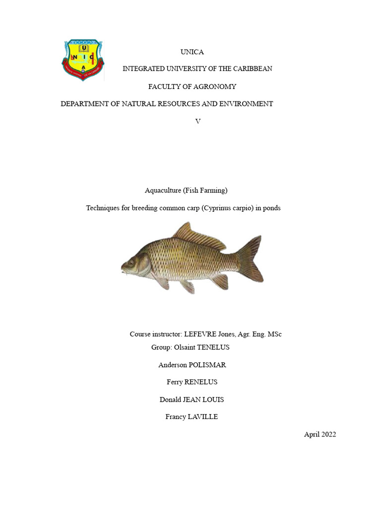 Common Carp Aquaculture Techniques | PDF | Pond | Aquaculture