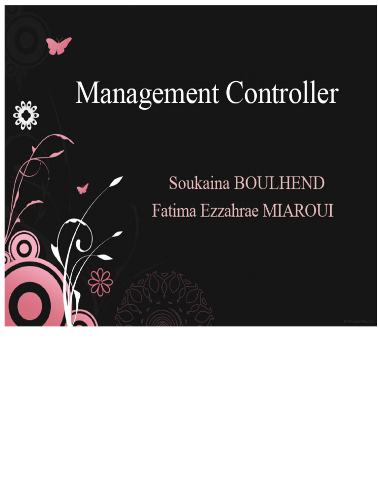 Roles and Skills of Management Controllers | PDF | Business