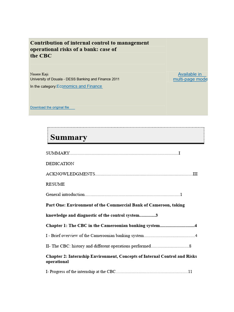 Internal Control & Operational Risks in CBC | PDF | Internal Control ...