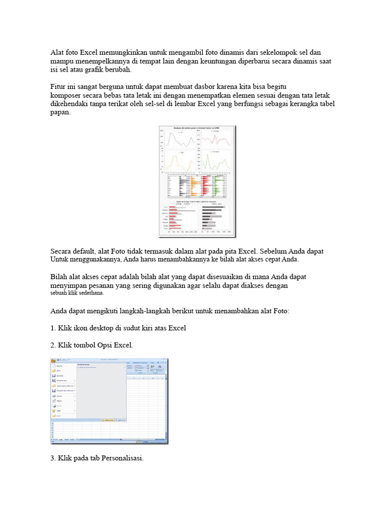 Alat Foto Excel untuk Dasbor Dinamis | PDF