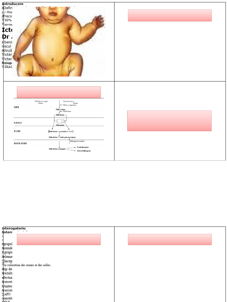 Icter Neonatal 20192020 | PDF