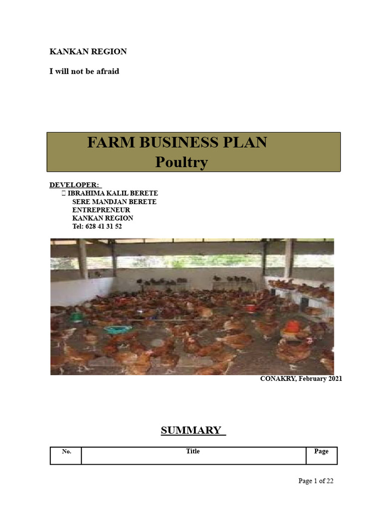 Poultry Business Plan for Kankan Region | PDF | Poultry Farming | Chicken
