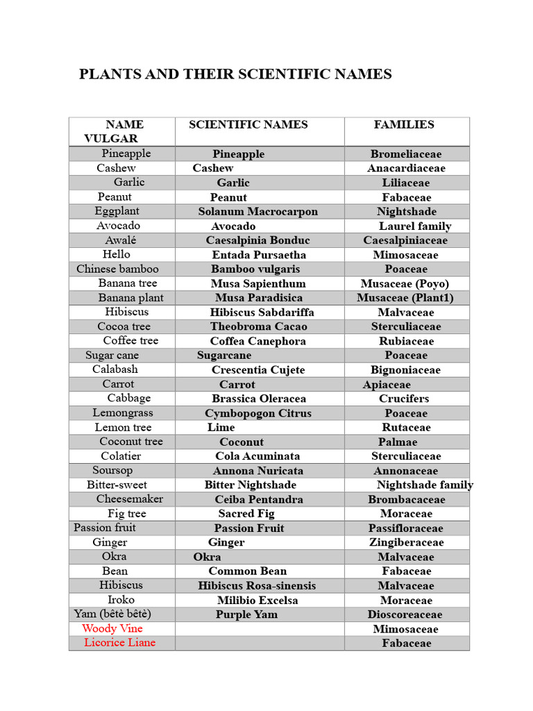 Plant Names and Scientific Classifications | PDF | Trees | Edible Plants
