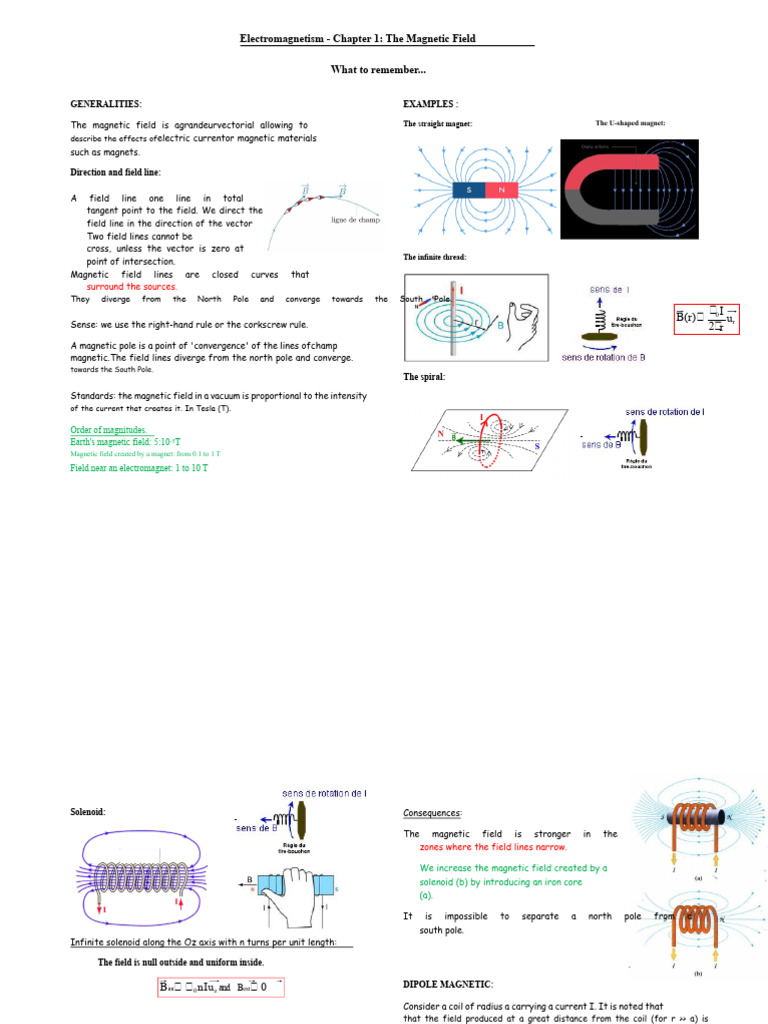 The Magnetic Field Course | PDF | Magnetic Field | Magnet