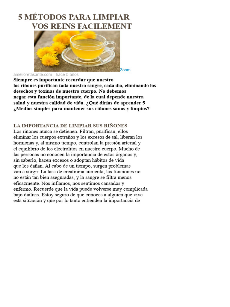 5 Métodos Efectivos para Limpiar Riñones | PDF | Riñón | Sodio