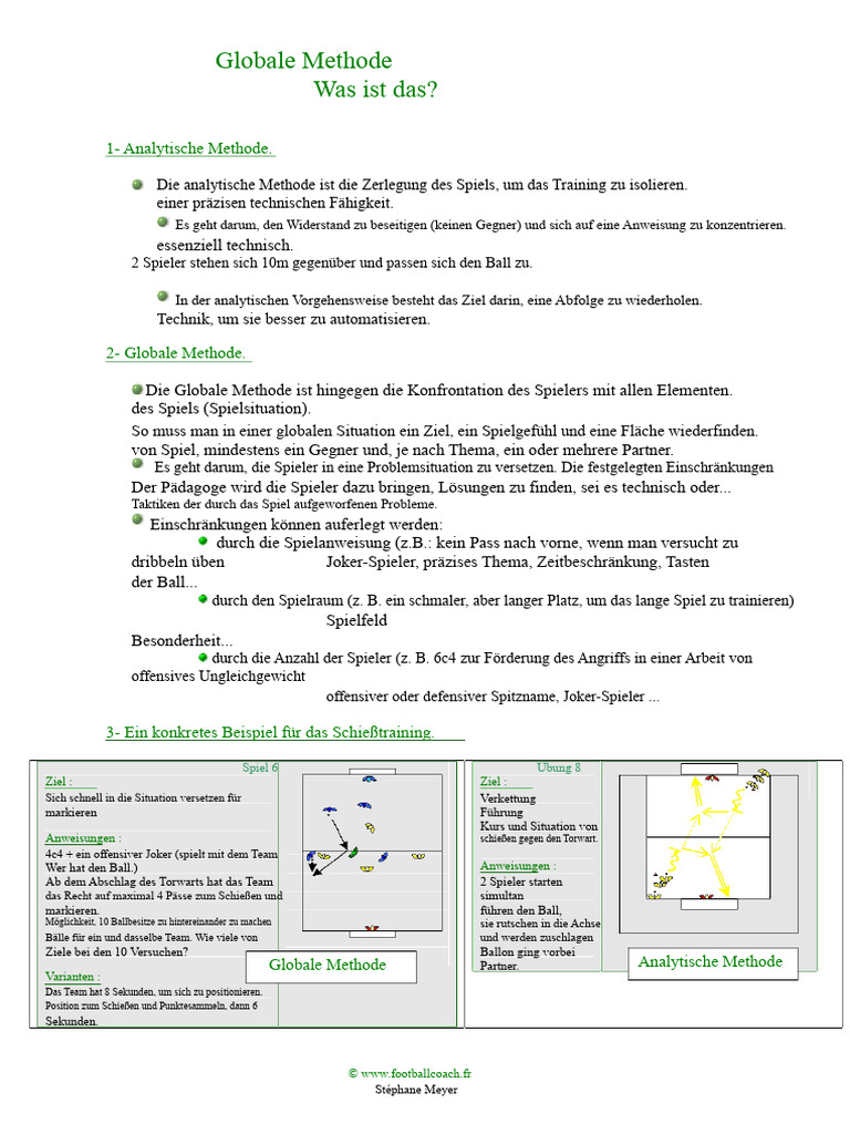 Globale Methode Analytische Methode | PDF