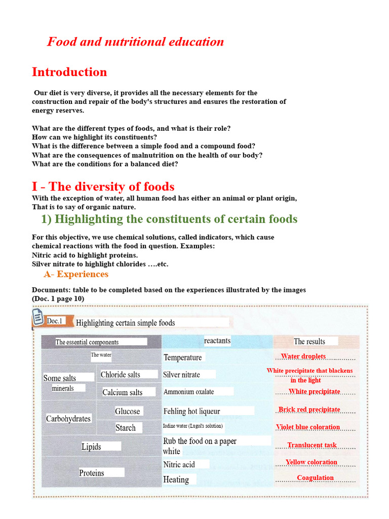 Food and Food Education Course My | PDF | Food Energy | Foods