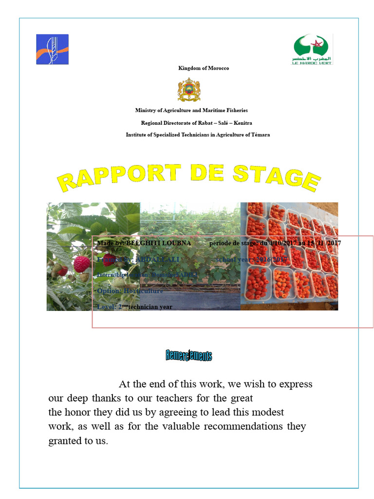 Internship Report on Horticulture in Morocco | PDF | Raspberry | Filtration
