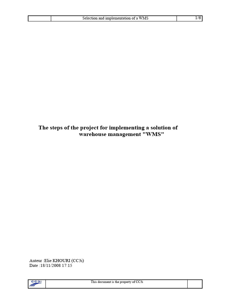 WMS Implementation Project Guide | PDF | Logistics | Warehouse