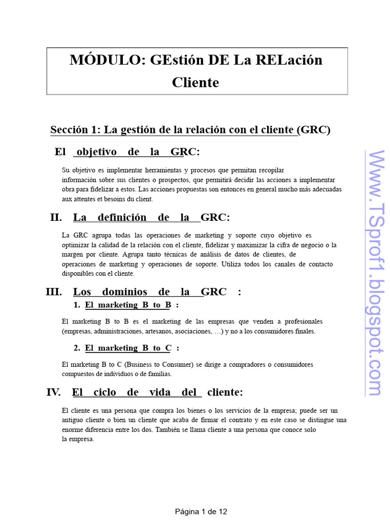 Gestión de Relaciones Con El Cliente 1-1 PDF | PDF | Marketing | Centro ...