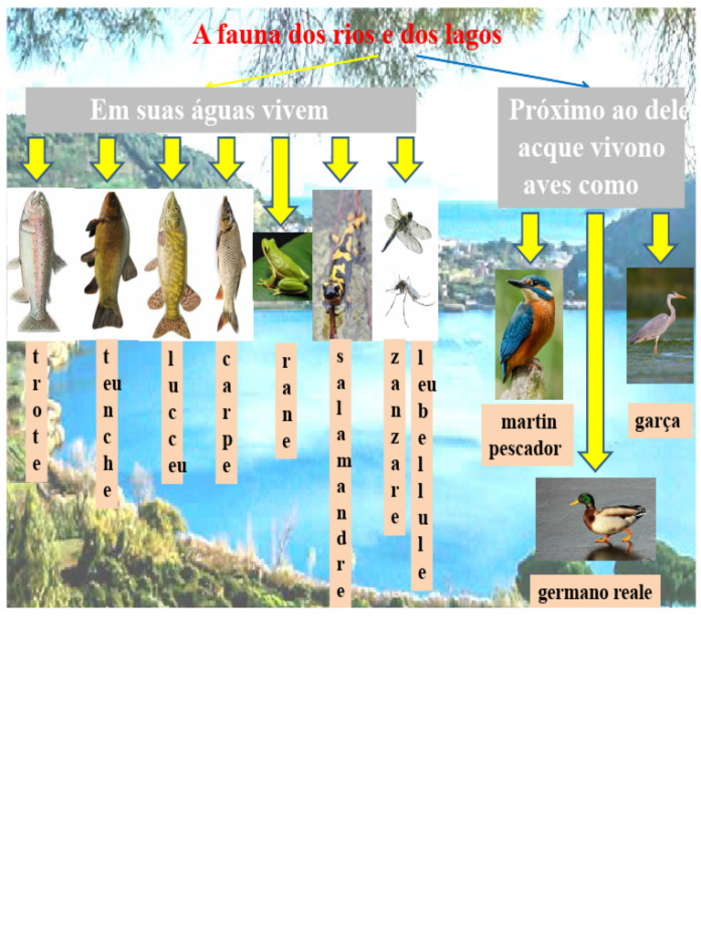 Fauna e Flora dos Rios e Lagos | PDF