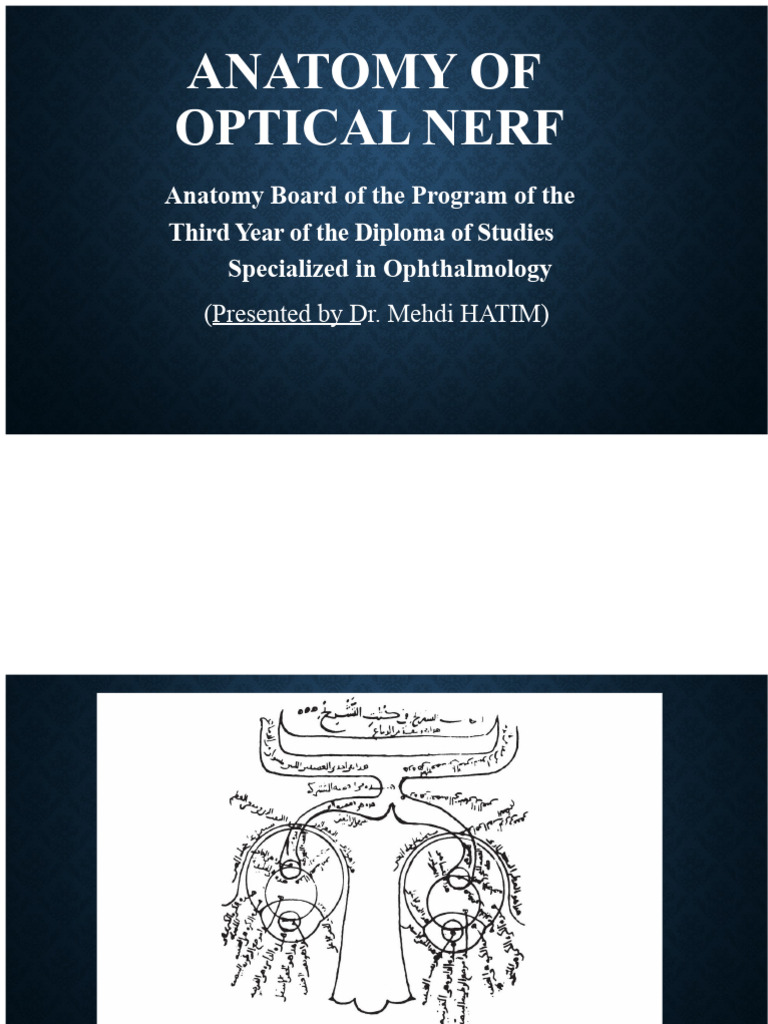 Anatomy of The Optic Nerve | PDF | Axon | Anatomy