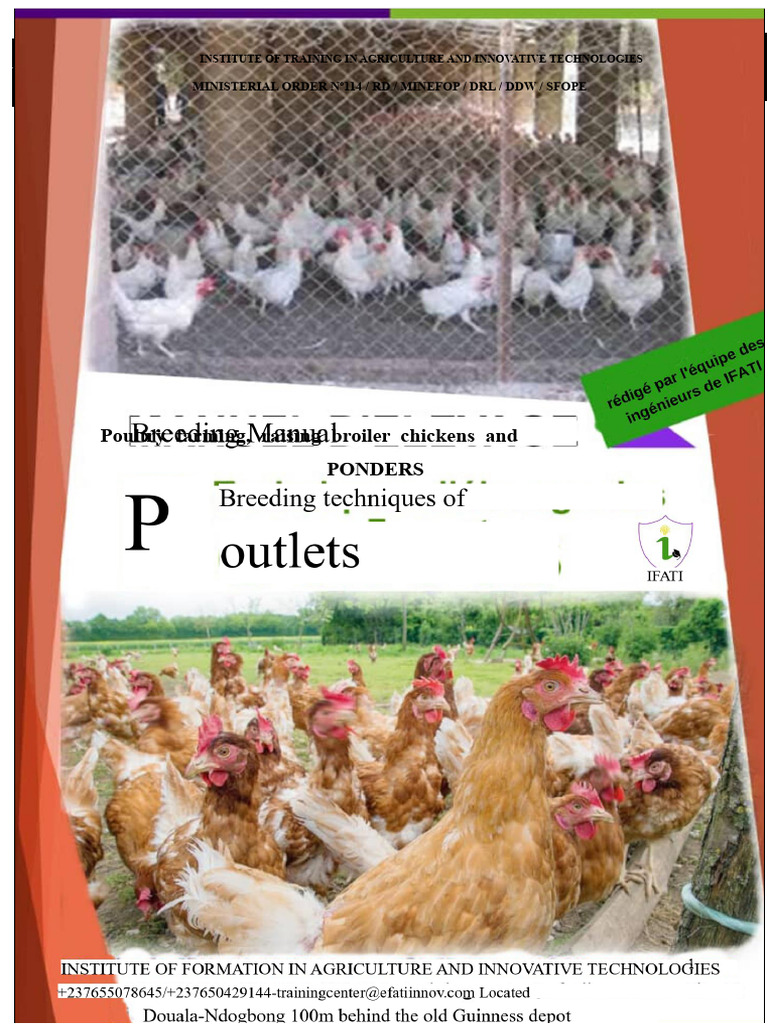 Poultry Farming Guide: Broiler Chickens | PDF | Chicken | Poultry Farming