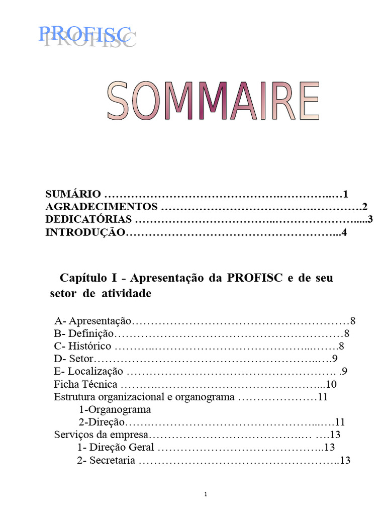 Estágio em Contabilidade na PROFISC | PDF | Contabilidade | Imposto ...