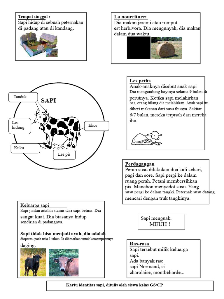 Informasi Dasar tentang Sapi | PDF