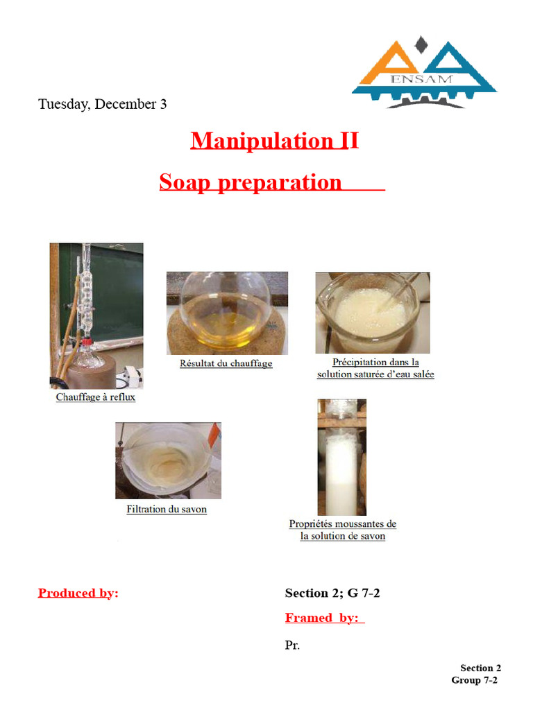 Laboratory Soap Synthesis Guide | PDF | Sodium Hydroxide | Soap