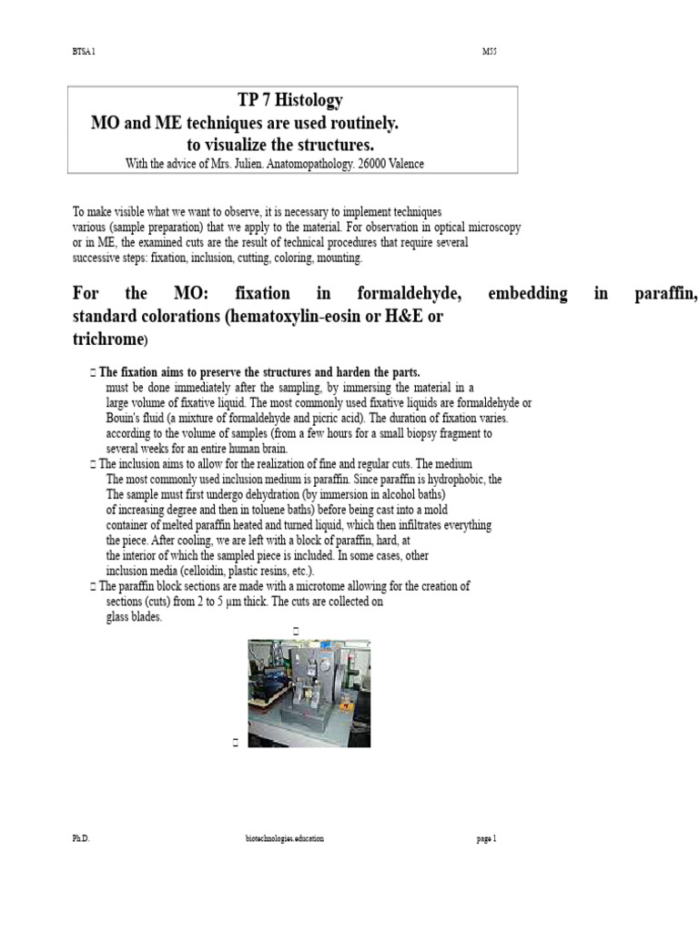 Histology Techniques for Sample Preparation | PDF | Staining | Microscopy