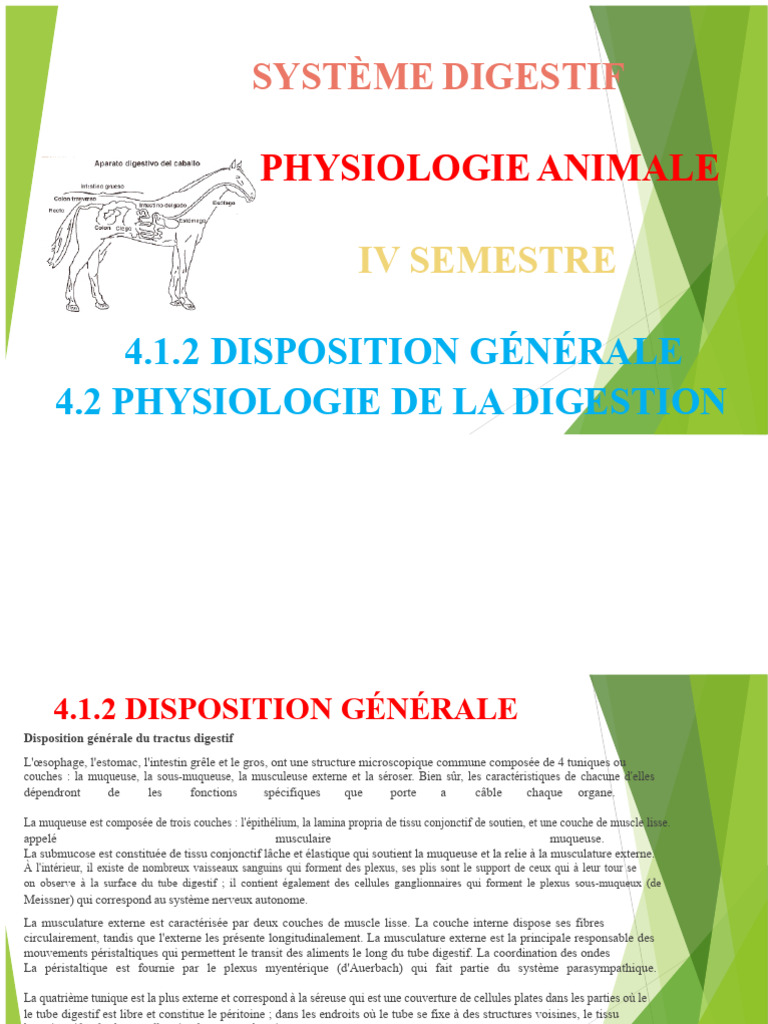 Physiologie du Système Digestif Animal | PDF | Tractus gastro ...