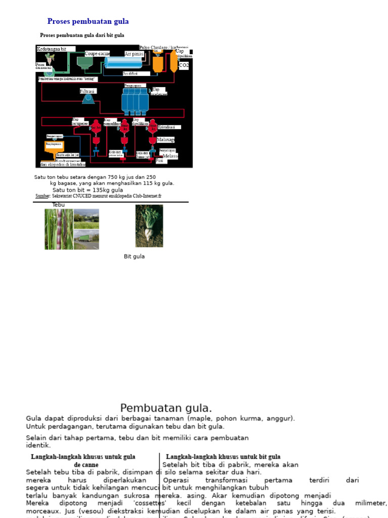 Proses Pembuatan Gula dari Tebu dan Bit | PDF