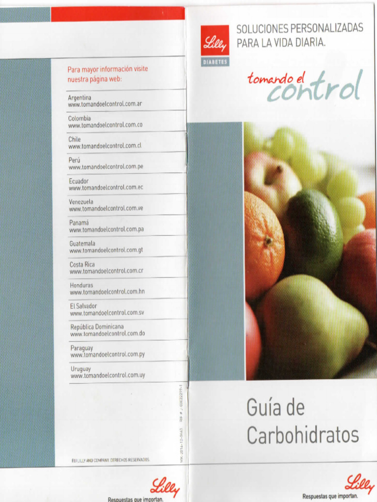 Guia de Carbohidratos Lilly | PDF