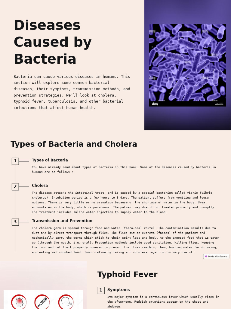 Diseases Caused by Bacteria | PDF | Tuberculosis | Cholera