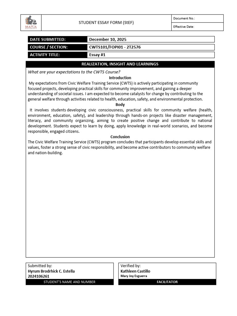 CWTS Essay: Expectations and Insights | PDF