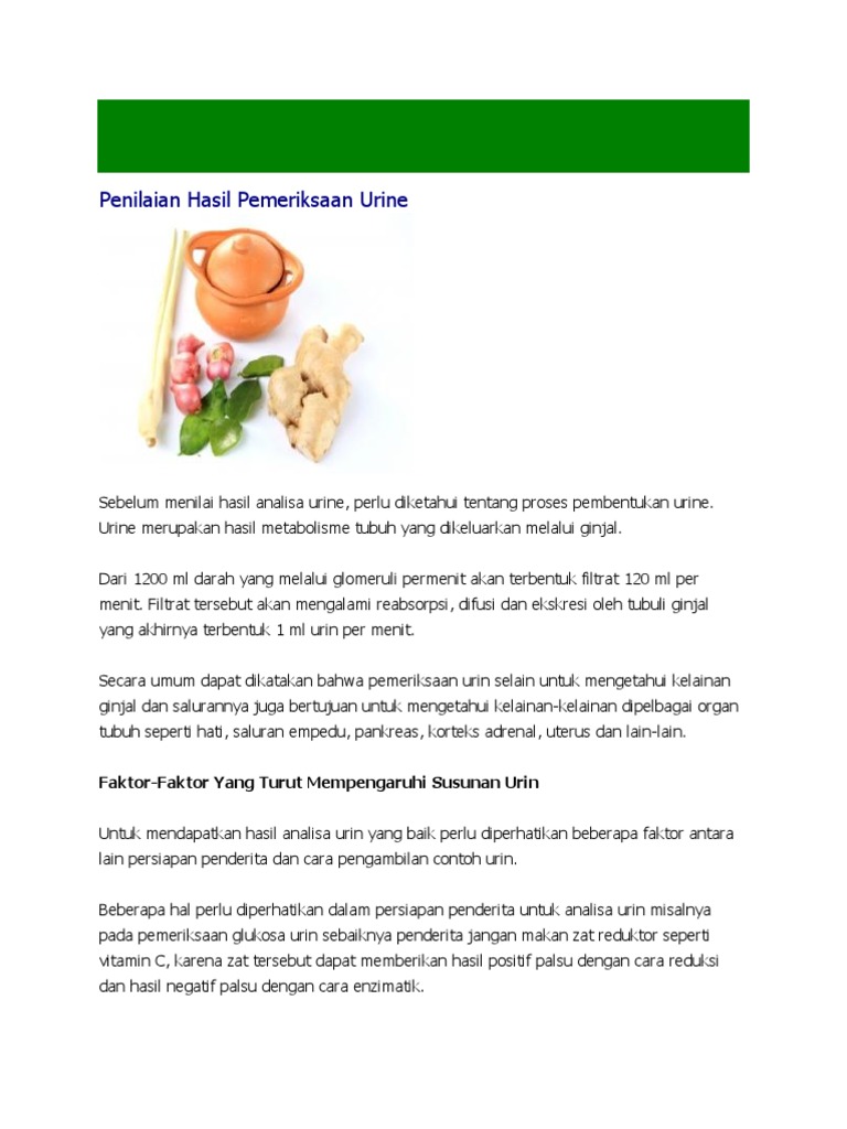 Unduh 5100 Gambar Ginjal Dan Salurannya Terbaik Gratis HD