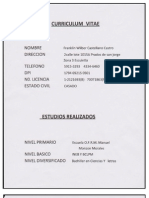 Curriculum Vitae Franklin Castellanos