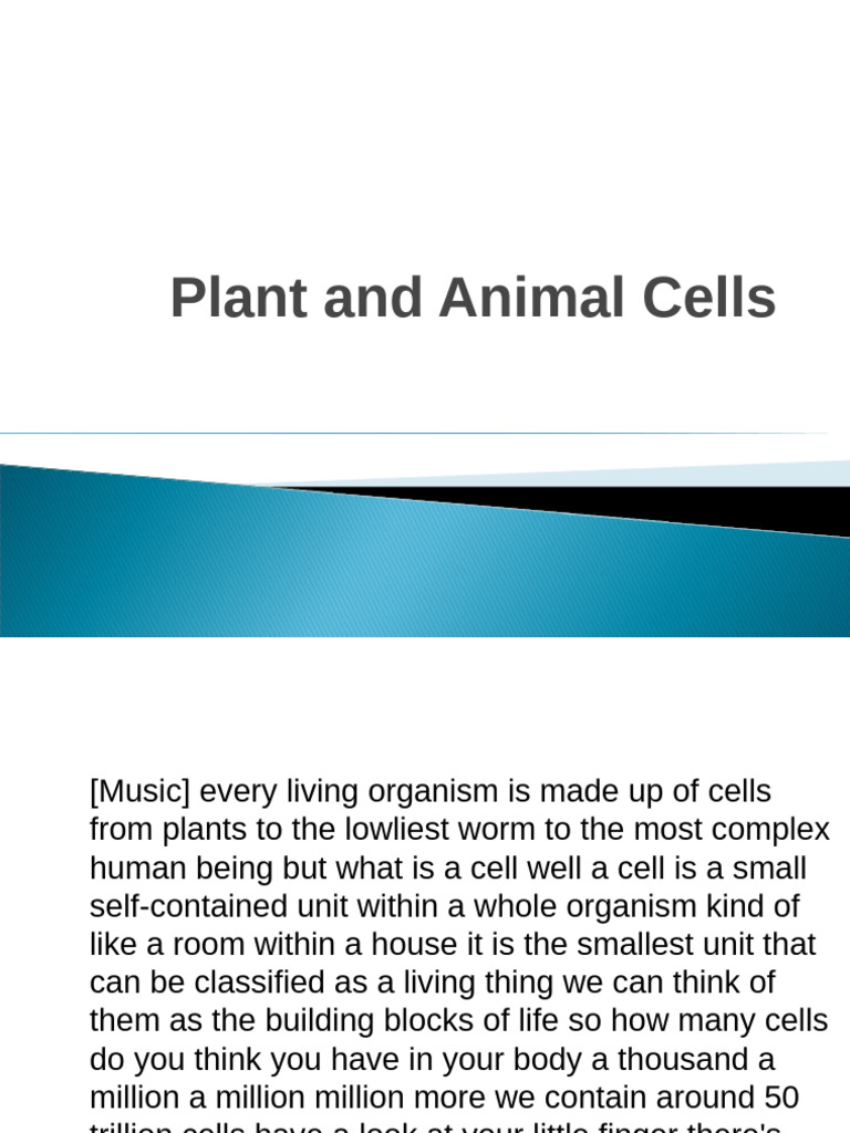 Differences Between Plant and Animal Cells | PDF | Endoplasmic ...