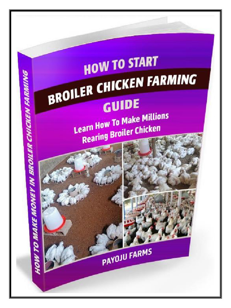 Broiler Chicken Farming Guide | PDF | Poultry Farming | Broiler