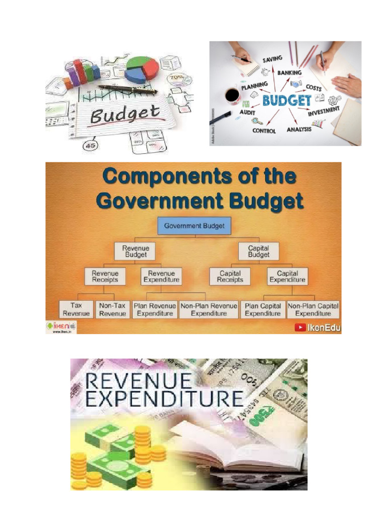 Government Budget | PDF