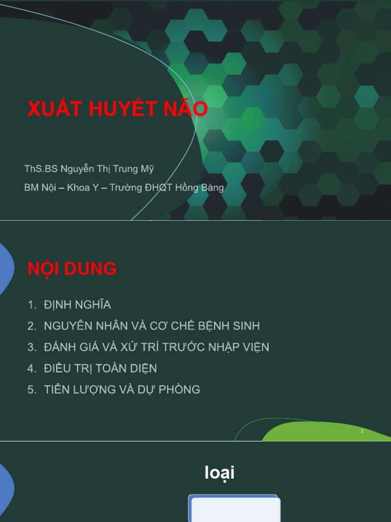 Đột Quỵ - XHN | PDF