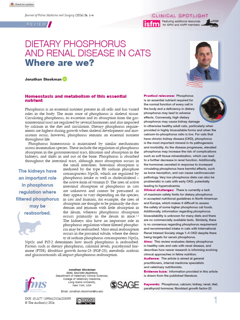 Dietary Phosphorus Impact On Cat Kidney Health Pdf