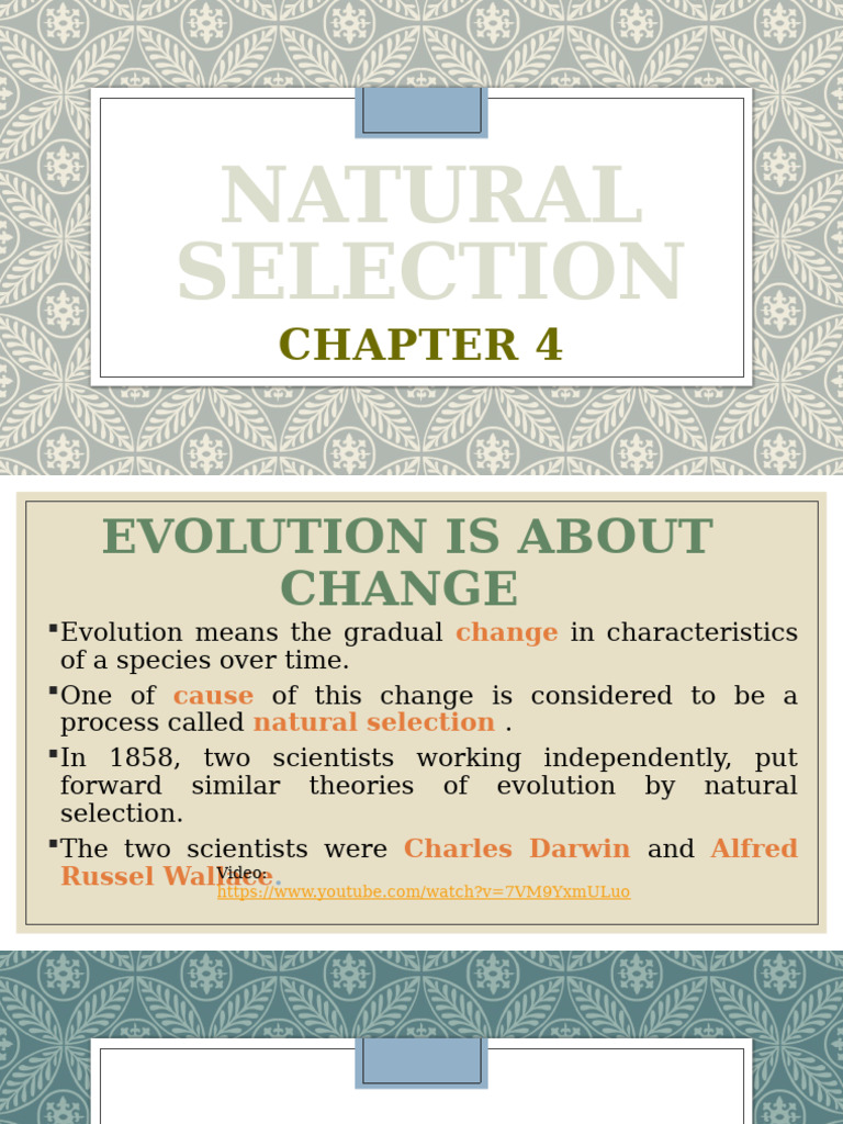 Chapter 4 Natural Selection | PDF | Natural Selection | Genetic Variation