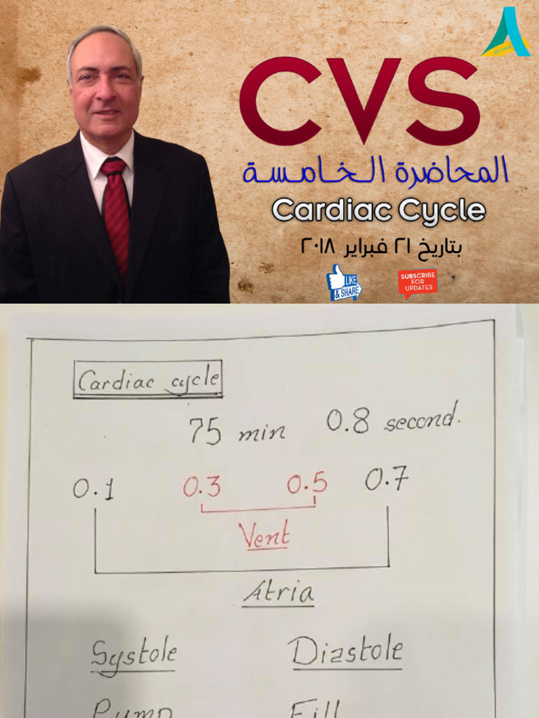 CVS (5) - Part 1 - DR - Nagi Diagrams 2018 | PDF