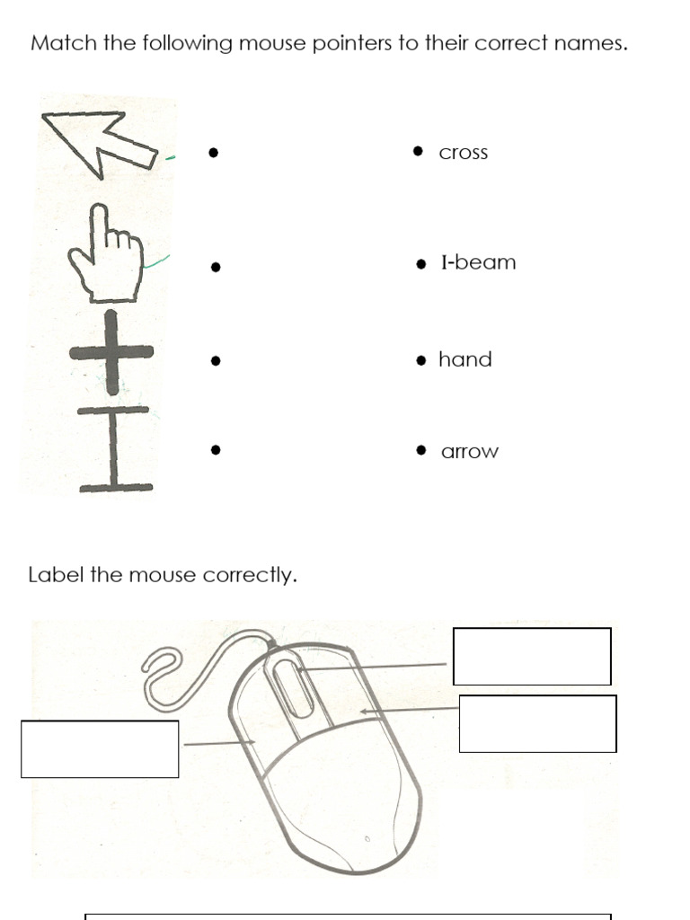 Mouse Pointer Identification Guide | PDF