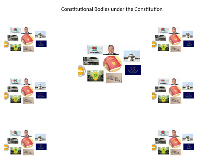 Constitutional Bodies Arranged | PDF