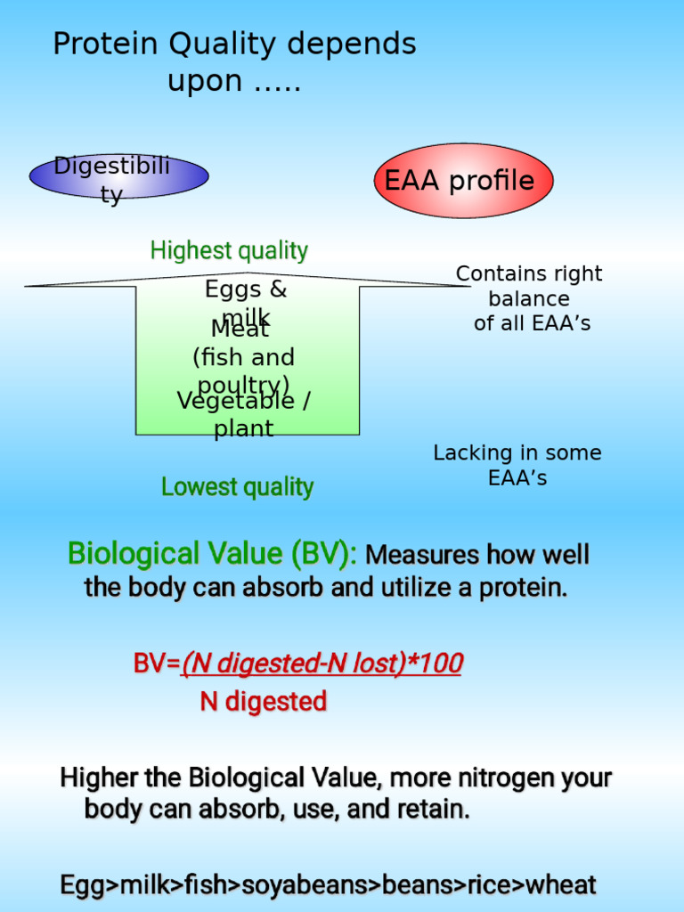 Proteins II | PDF