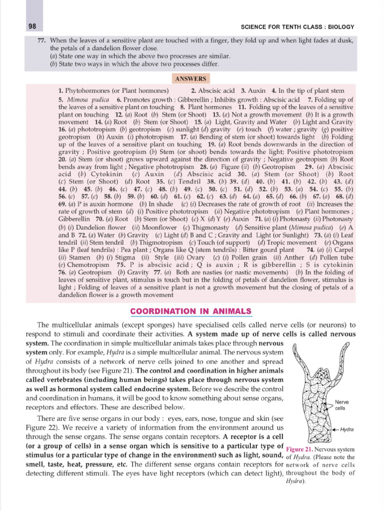 Untitled 2 | PDF