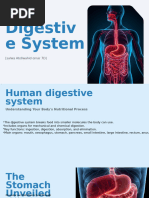 Digestive System Journey Comic Strip | PDF | Biology | Digestive System