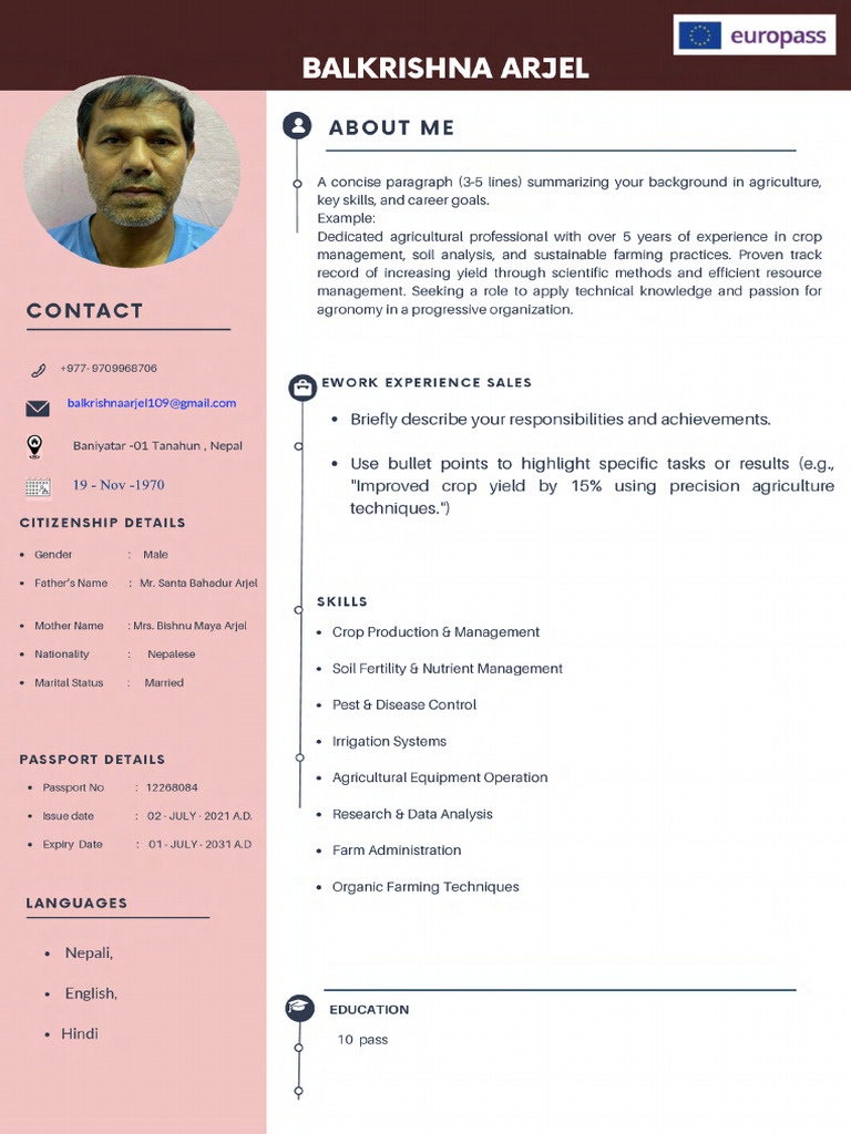 CV Final | PDF