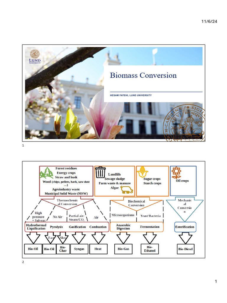 Biomass Conversion: Pyrolysis & Biofuels | PDF | Anaerobic Digestion ...