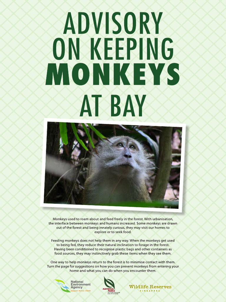 Joint Advisory On Monkeys | PDF